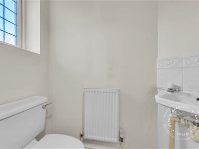 Picture 19